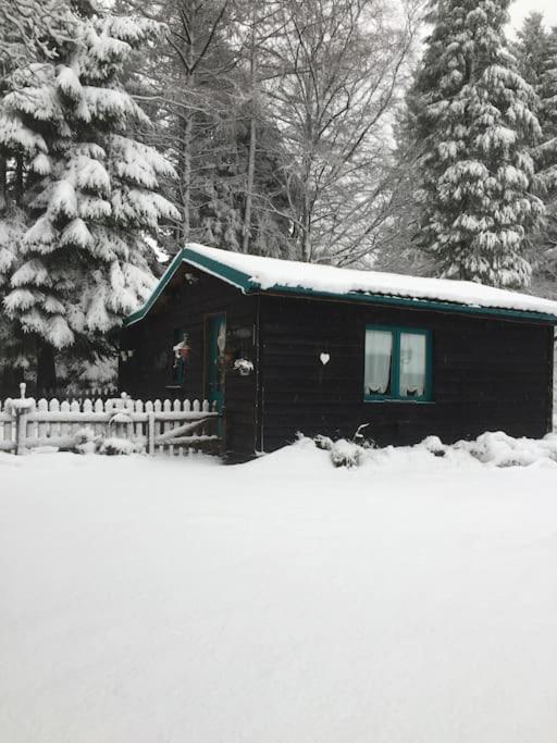 Chalet De Papitou , Situe Dans Un Coin De Paradis Villa Stavelot Exterior photo